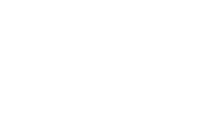 Nelson Logo